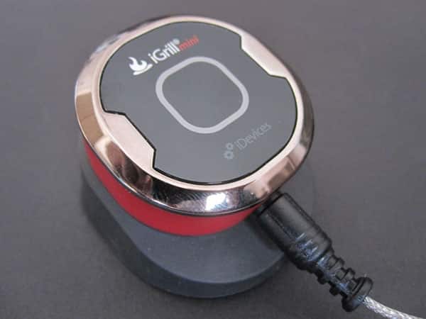 Recensione: iDevices iGrillmini