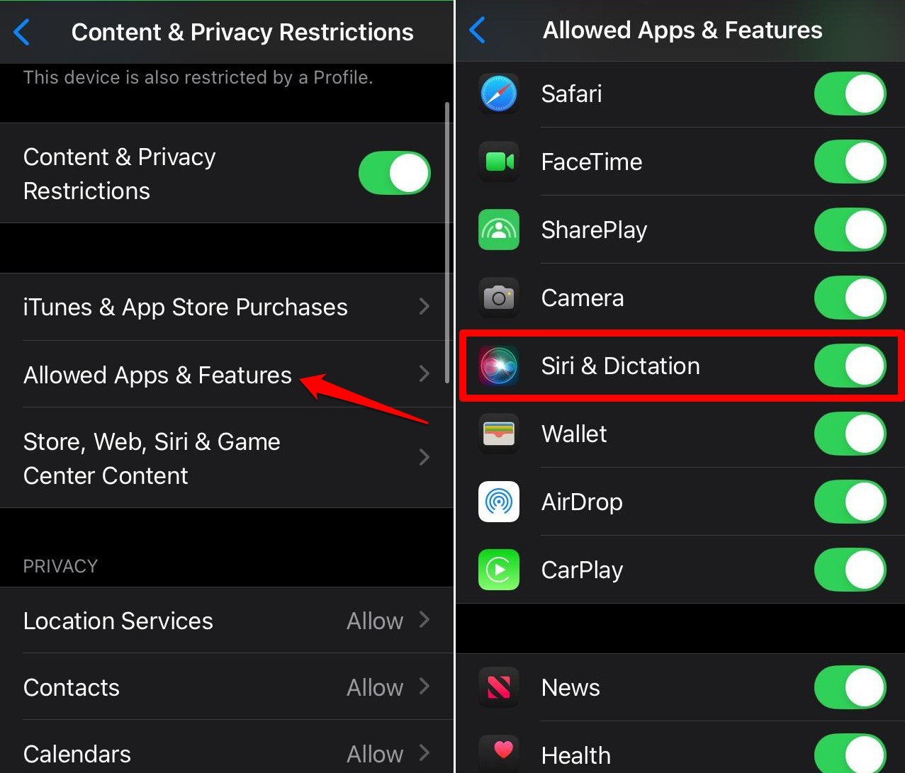 ativar Siri e ditado no iOS 18