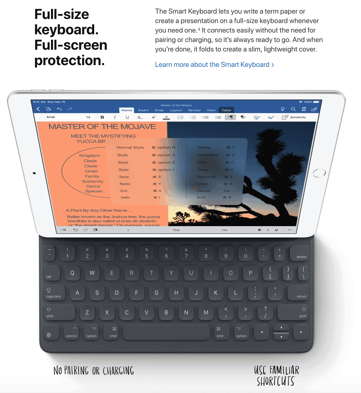 Immagine iPad Air 11