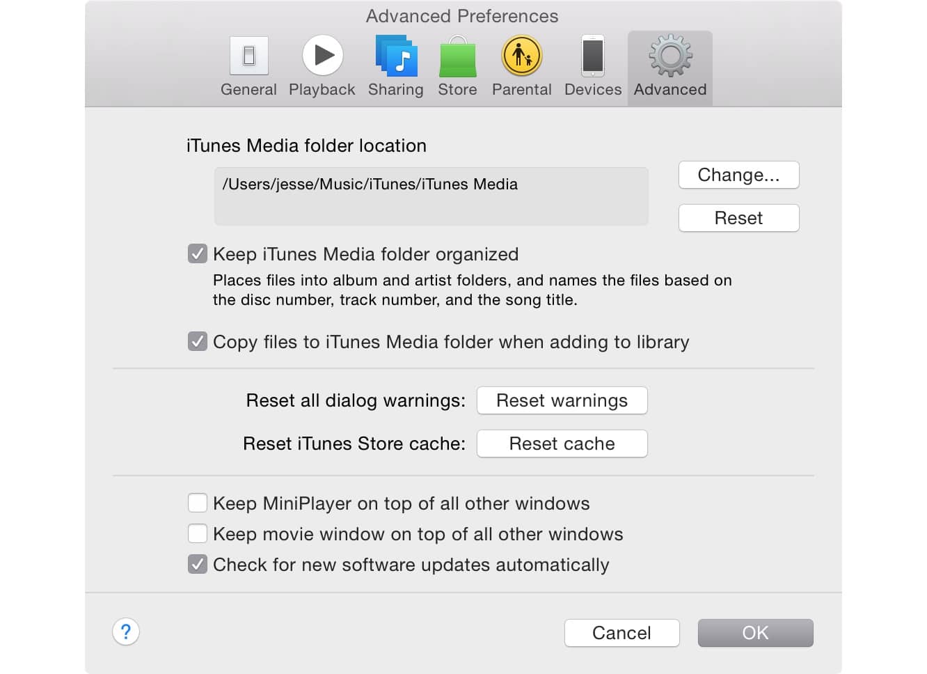 Reorganizando archivos en la carpeta de medios de iTunes