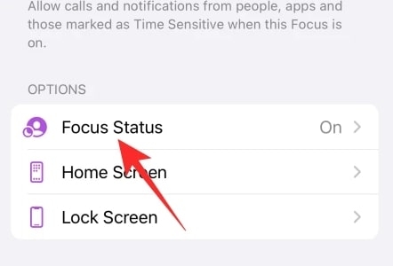 Was bedeutet der Share Focus Status auf iOS?
