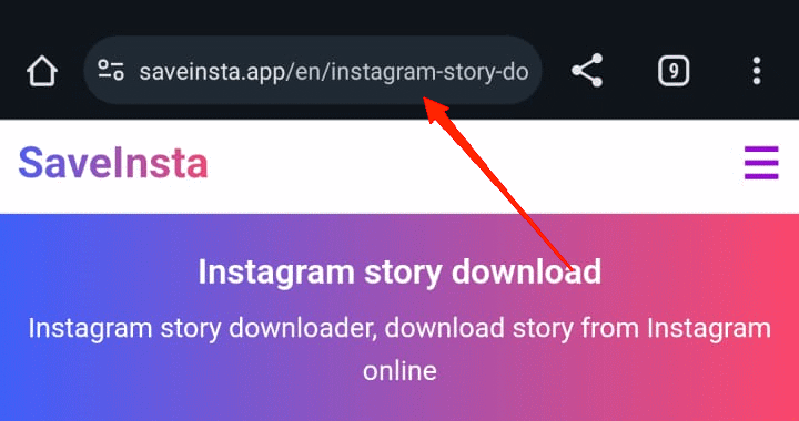 Depois de copiar o link para esse reel, visite um dos sites mencionados acima