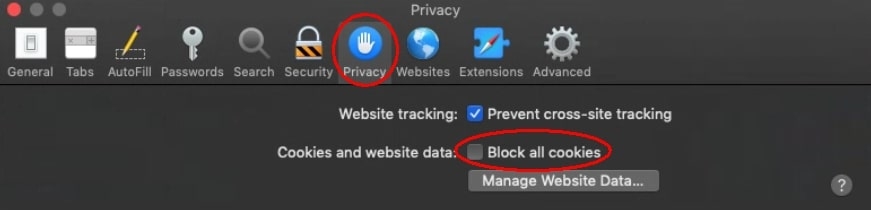 Wie man Cookies im Safari-Browser aktiviert?