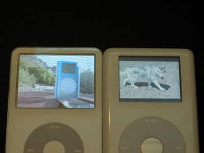 Recensione: Apple Computer iPod 5G con Video (30GB/60GB)