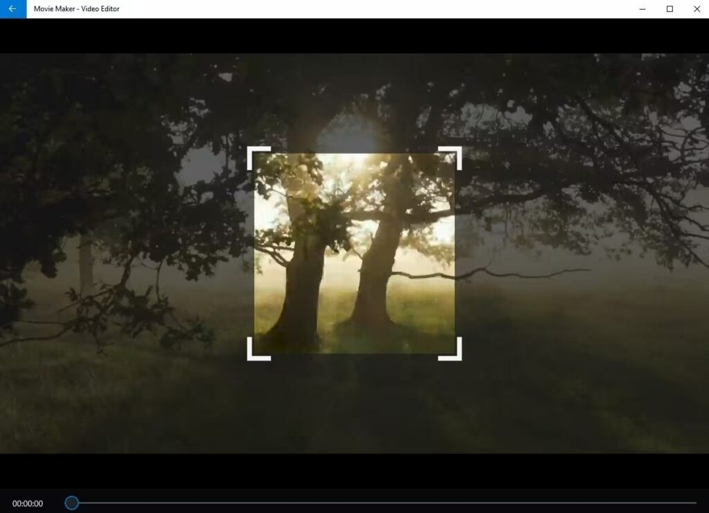 Windows Movie Maker