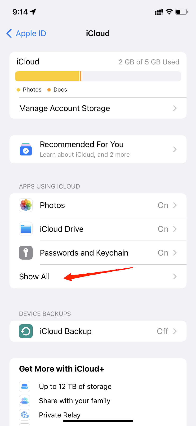 Toca en 'Mostrar Todo' en la sección 'Aplicaciones que usan iCloud'.