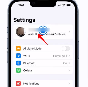 Klicken Sie auf Profil in den iPhone-Einstellungen