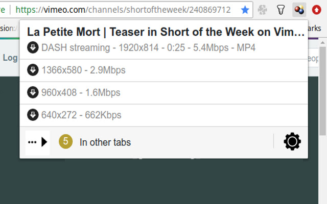 Video DownloadHelper - Bester Chrome Video Downloader