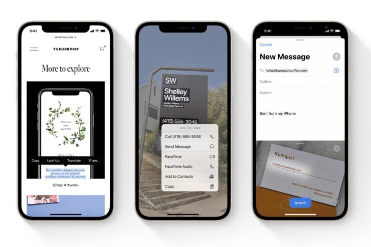 iOS 15에서 라이브 텍스트가 작동하지 않는 iPhone