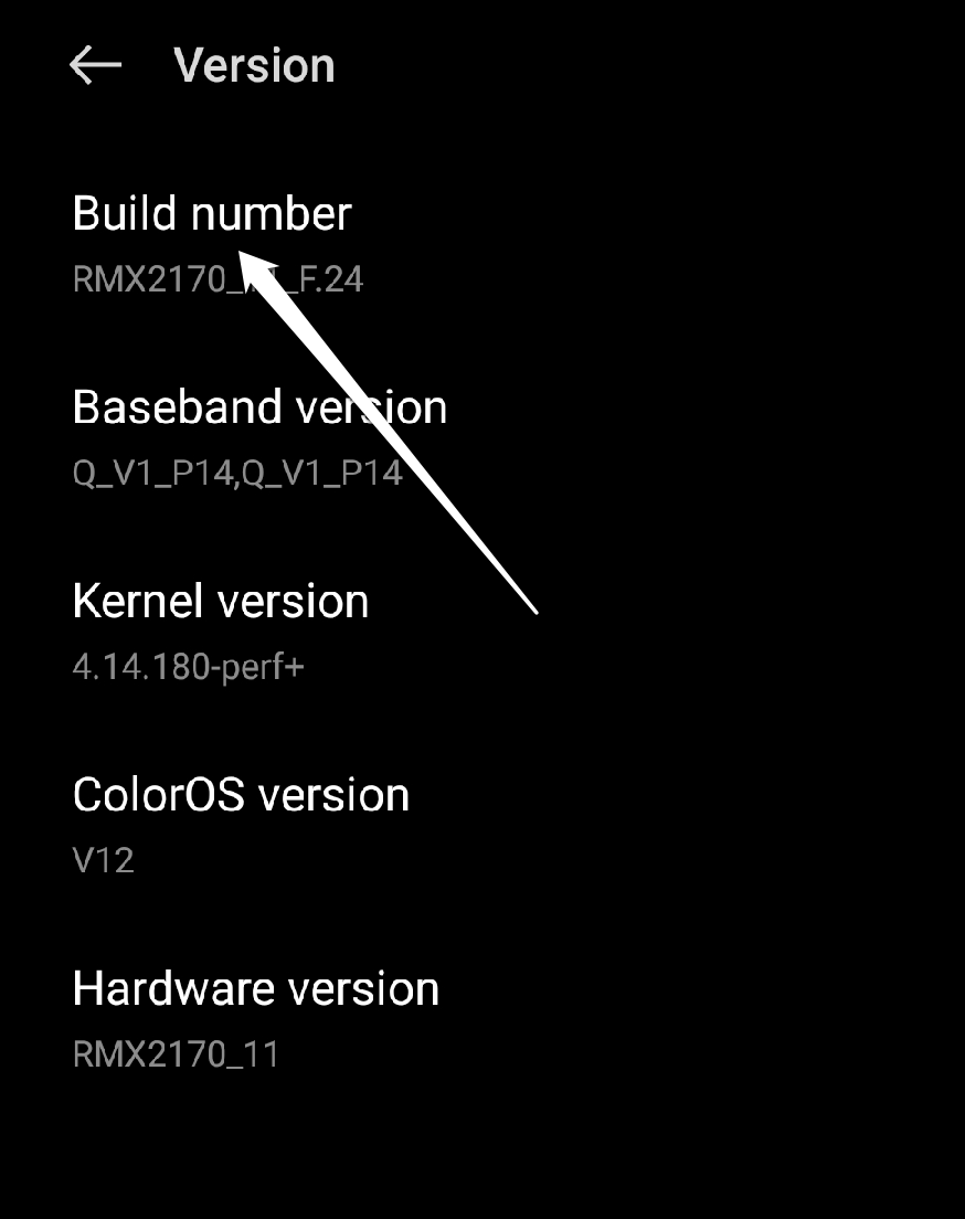 Build-Nummer