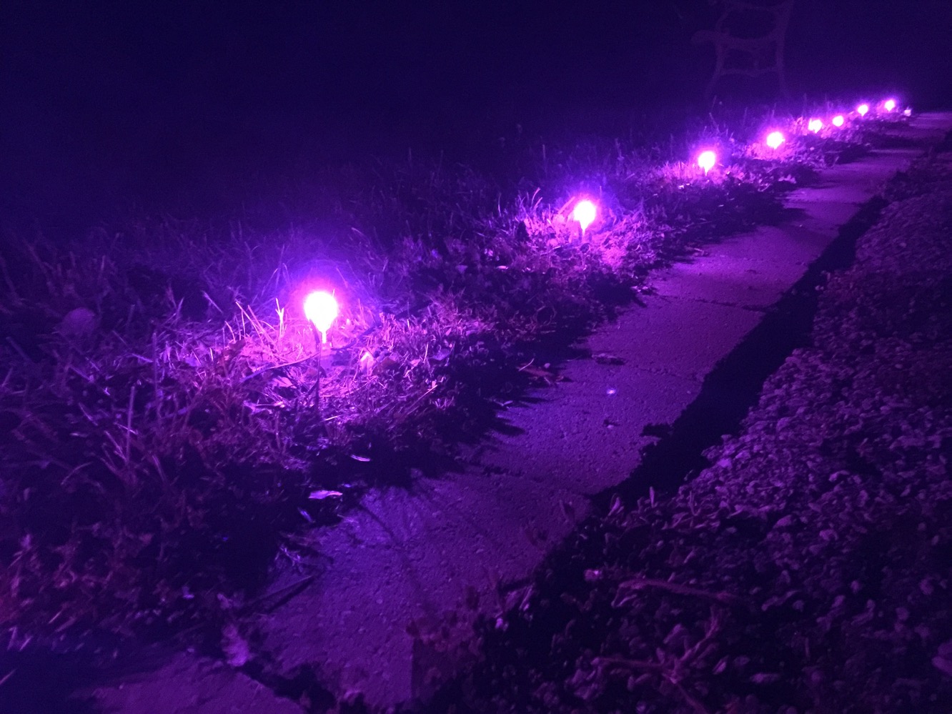 Bewertung: Belkin WeMo + OSRAM Lightify Gardenspot Mini RGB Starter Set