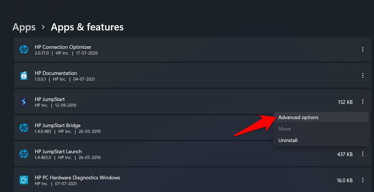 apps advanced option windows 11