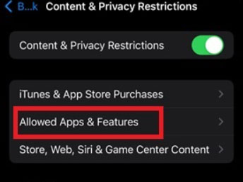 Configura le impostazioni del tempo di utilizzo (iOS) - Codice di supporto Snapchat C14A