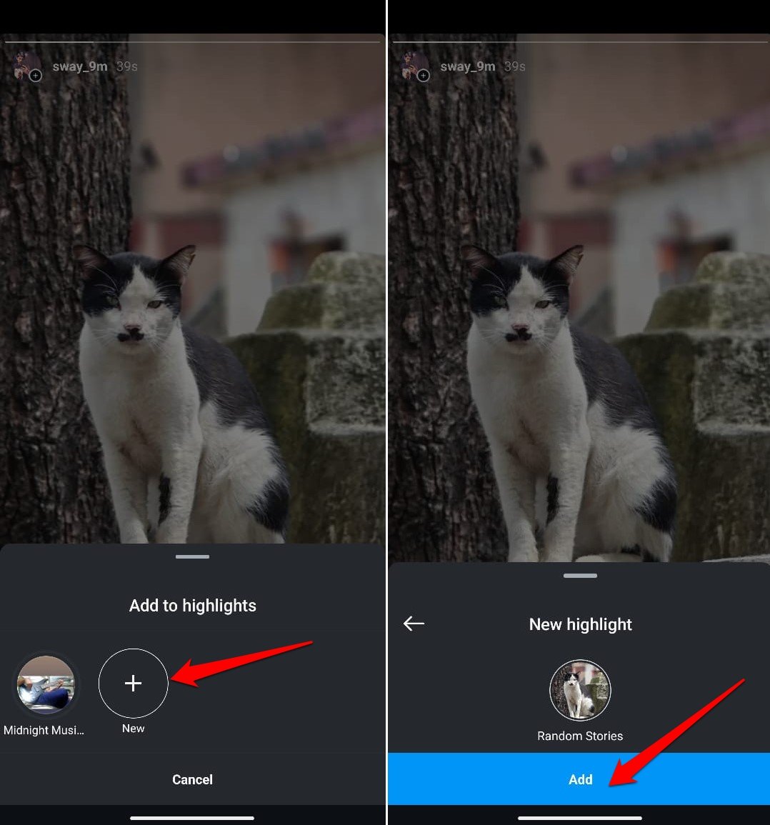 добавить основной момент в аккаунт Insta