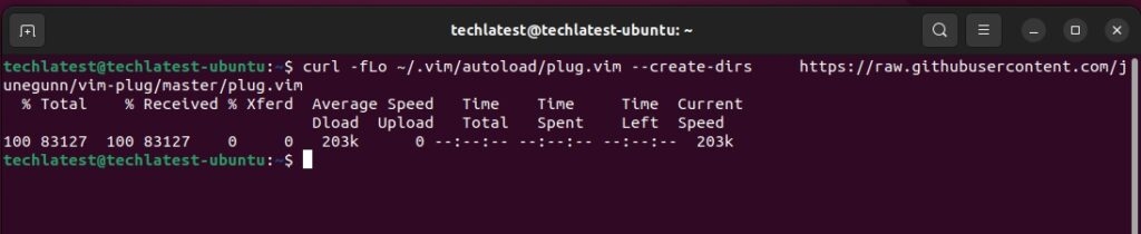 Instalar Vim Plug