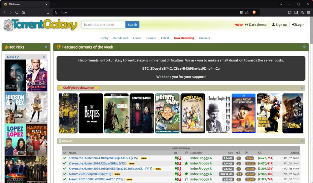 TorrentGalaxy Proxy