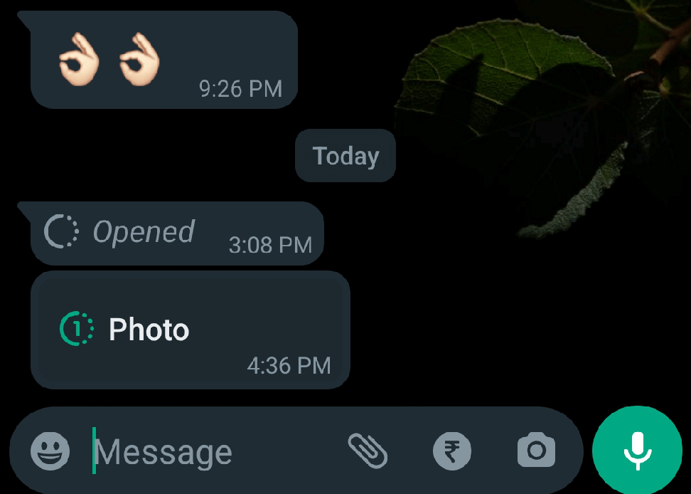 So machen Sie einen Screenshot eines View Once-Fotos auf WhatsApp 3