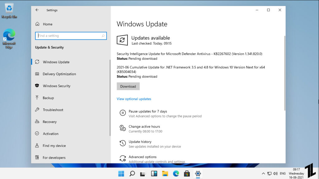 Windows 11