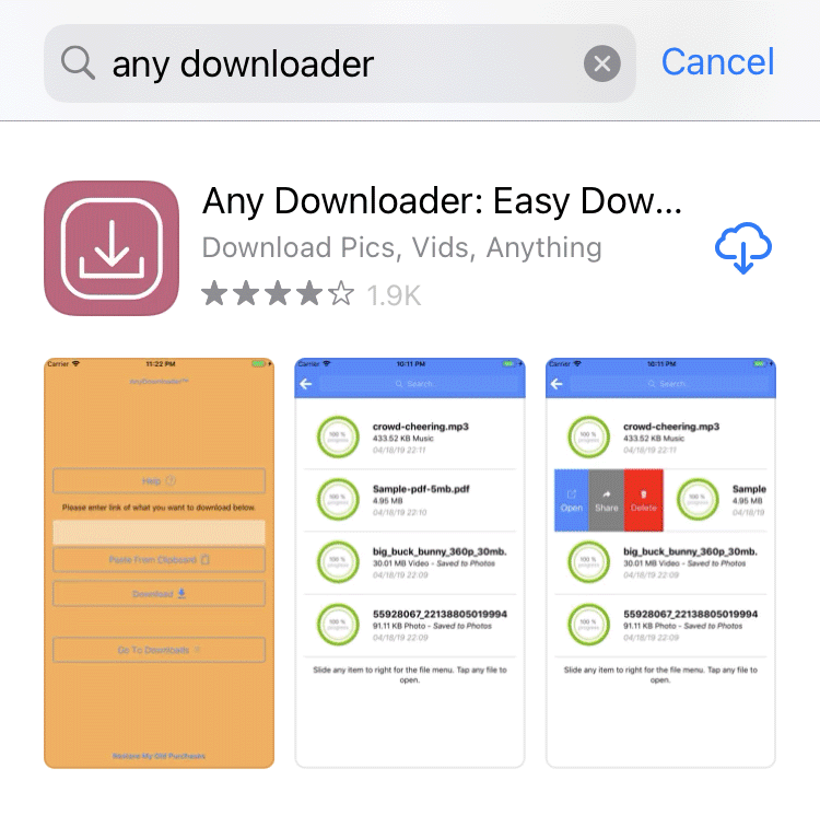 Any Downloader iOS 앱