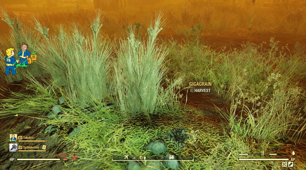 Что такое Резервный злак в Fallout 76?