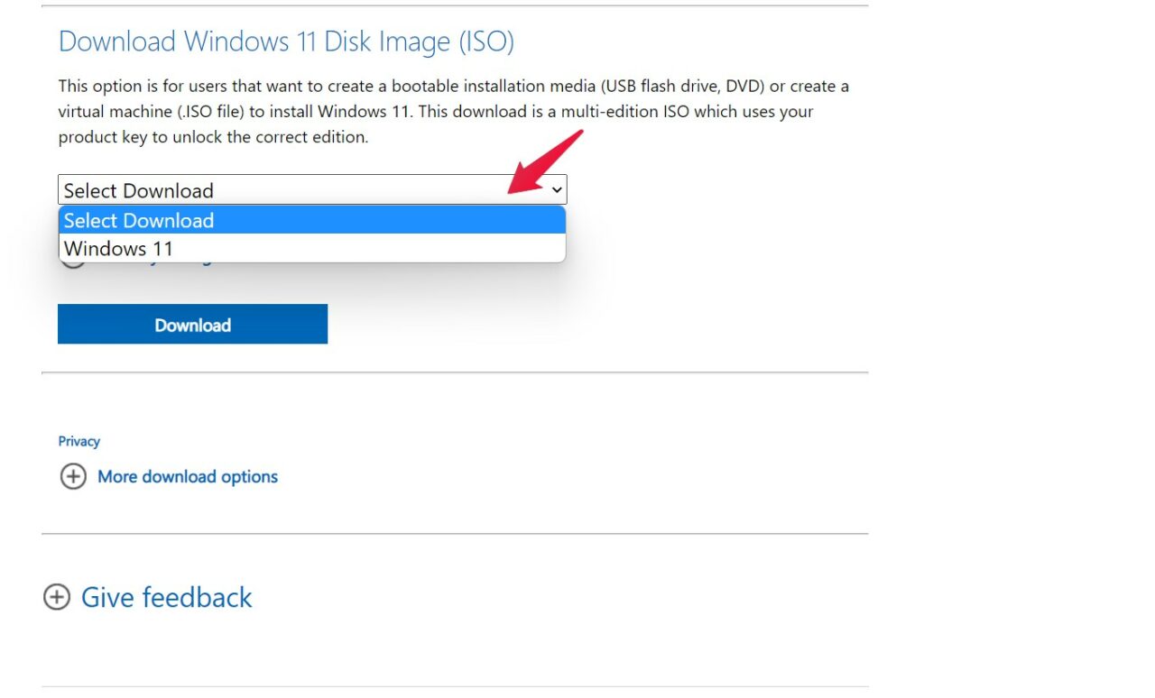 Windows 11 선택
