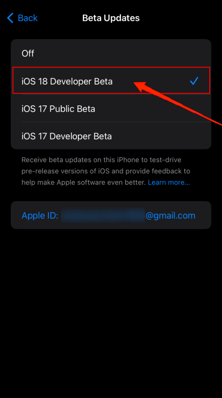 Überprüfe die iOS 18 Beta-Option.