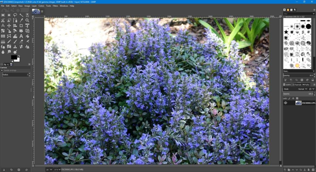 23 Mejores Plugins y Filtros de GIMP que Necesitas Probar (2020)