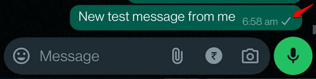 significado del tick gris único de WhatsApp
