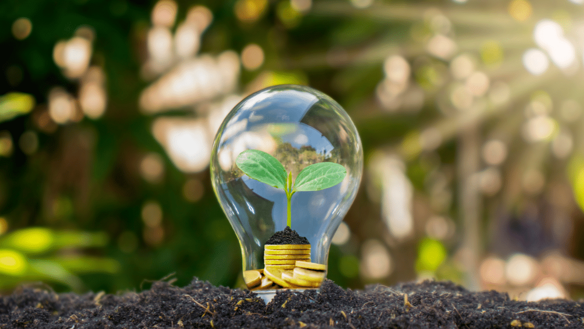 Die Rolle von Energiemanagementdiensten in nachhaltigen Geschäftspraktiken