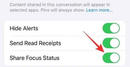 Was bedeutet der Share Focus Status auf iOS?