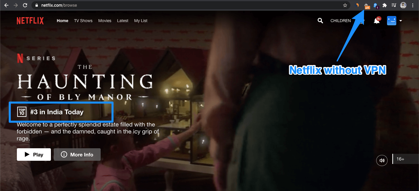 프록시 없이 Netflix