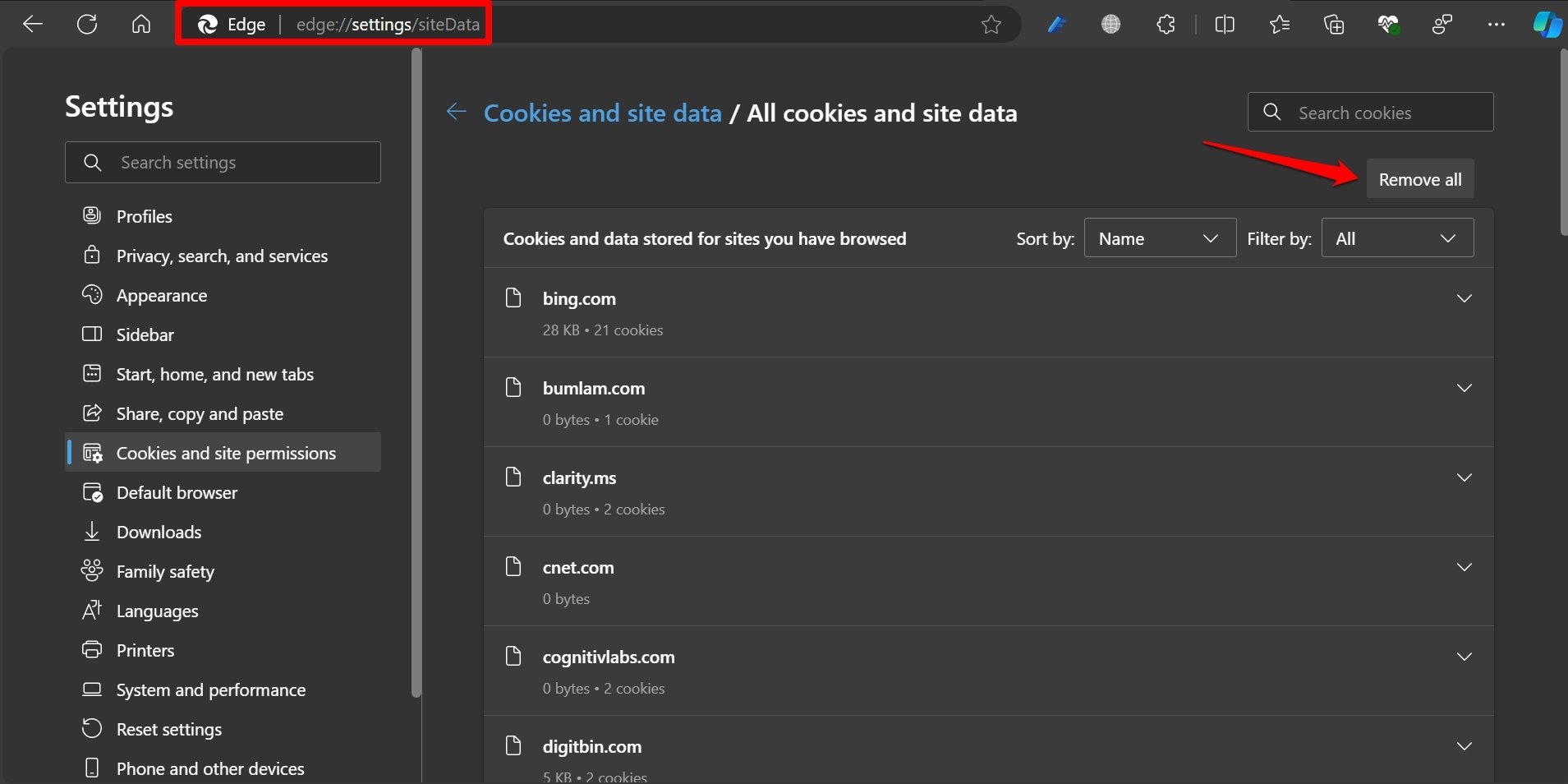 eliminar todos los datos del sitio en el navegador Edge PC